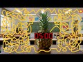 5 Minute Timer Bomb | ULTIMATE Pineapple EXPLOSION Countdown🍍💣