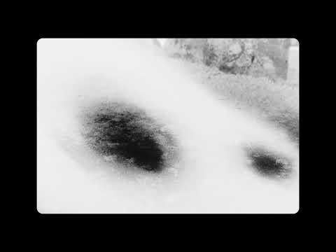 Los Habitantes del Pasto - Tráiler