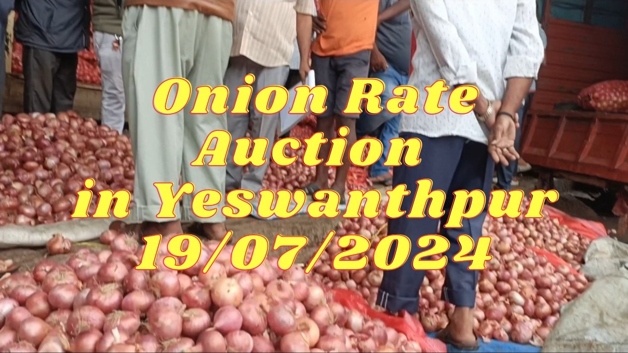 yeshwanthpur-onion-market-rate-today-auction-19-07-2024-onion-price