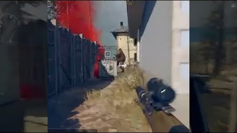 Alex loadout drop incoming. #Shorts #HamsterRambo