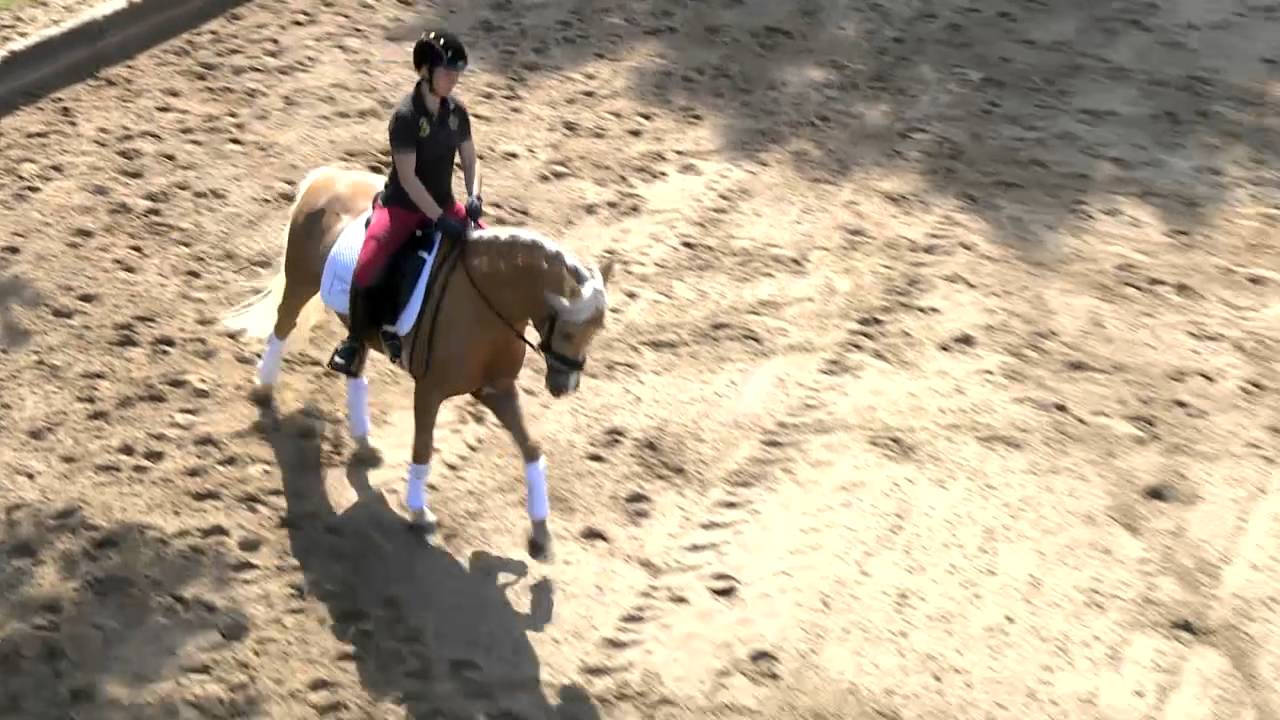 Korrekt Reiten auf dem Zirkel - so klappt's | Britta Schöffmann