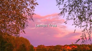 Gustixa - Lemon tree (remix) (Lyrics)