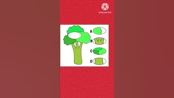 Find the missing piece of the picture #find #fun #missing #puzzle #youtubeshorts #shorts#subscribe