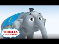 Thomas e o Elefante | Compilação | Desejos mágicos de aniversário do Thomas | Desenho Animados