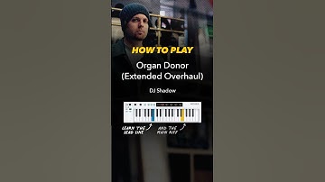 Learn How to Play “Organ Donor” by DJ Shadow 🎧