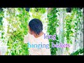 Long hanging plant collection sansi pothos scindapsus growlights