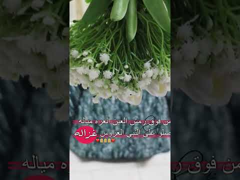 من فوق رمش العين الغرة مليانة يوميات أمونة تصميم فيديوهات تصويري  تصميمي عروس أكتوبر