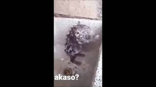 Antebin Hamamları Hahaha