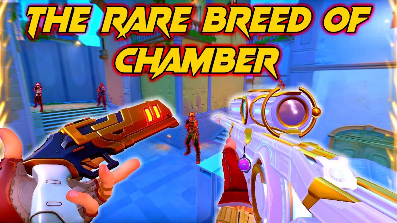 THIS IS WHAT THE RARE BREED OF CHAMBER MAIN LOOKS LIKE - YouTube