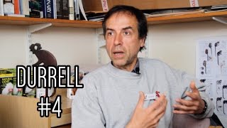 Why Bother Saving Species From Extinction? - Durrell Vlog