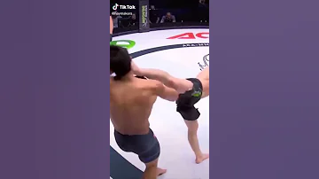 Clean Knockout in ufc & mma