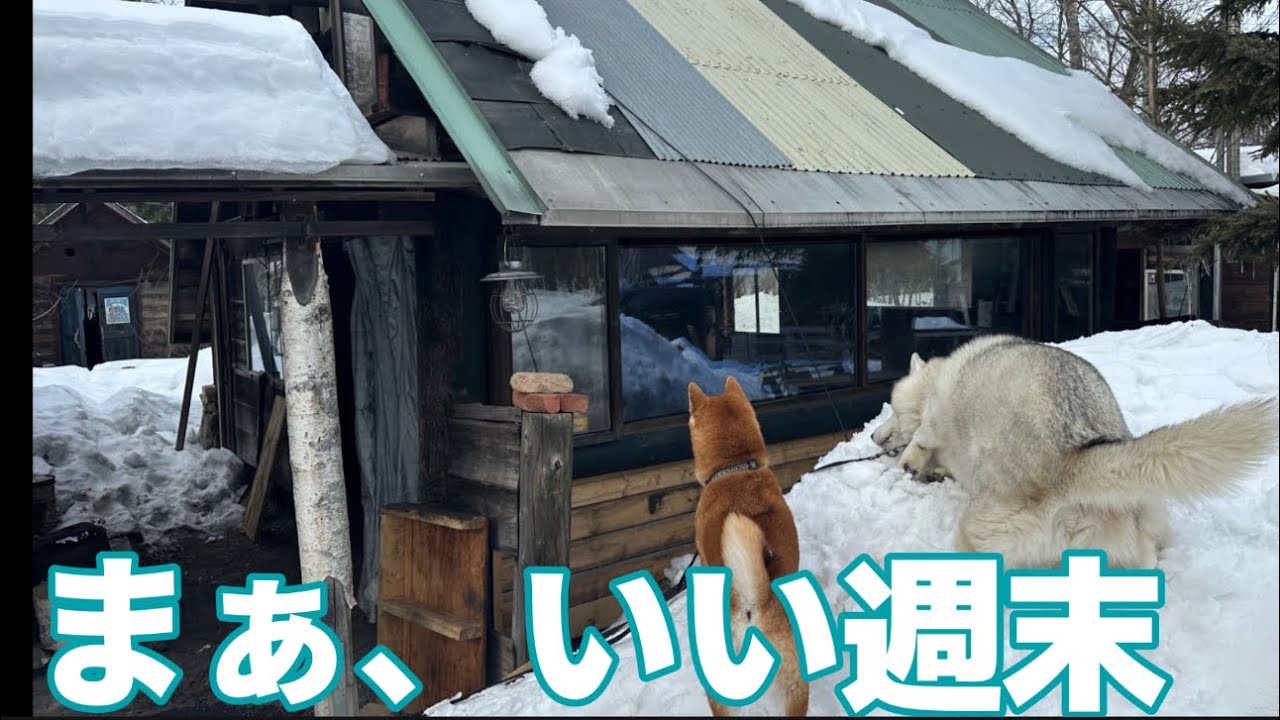 冬の雪景色でコテージ焼肉キャンプ in 清水町 ❄️🔥【犬とVlog】