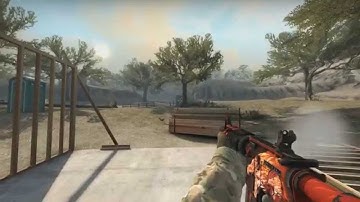 CS:GO m4a4 | Howl New Version (Field Tested) w/sticker and nametag