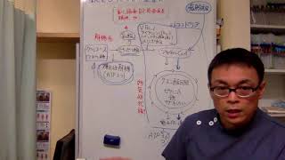 『ダイエット大阪』 ４０代の女性のダイエットがうまくいかない理由は鉄不足にありました【４０代女性ダイエット　痩せる】
