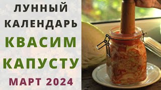 КВАШЕНАЯ КАПУСТА: когда квасить капусту по лунному календарю? БЛАГОПРИЯТНЫЕ ДНИ засолки МАРТ 2024