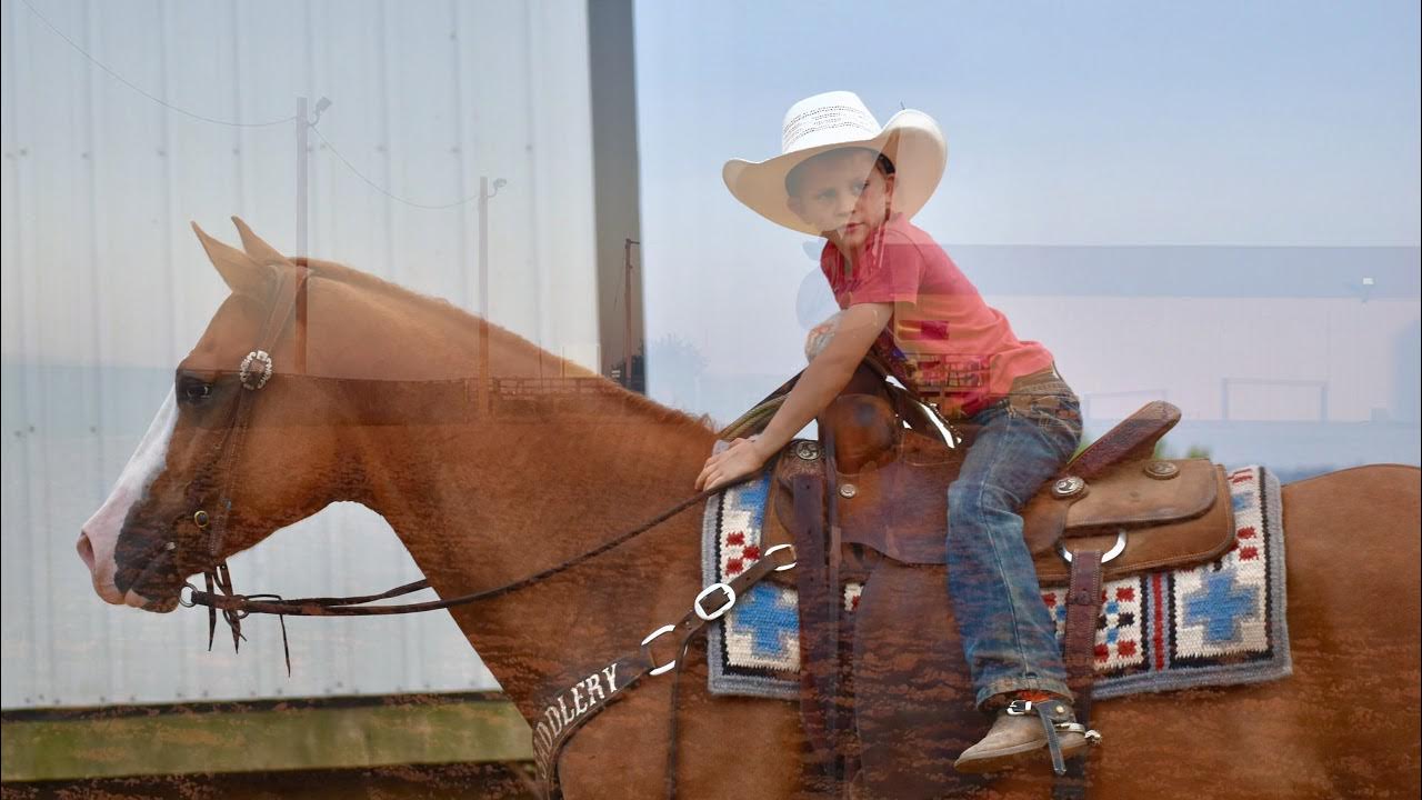 Lot 59 offered by Jared Meyer Performance Horses Vegas Diamonds in