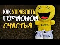 Как влияют гормоны на настроение? 4 гормона счастья.  Простые способы поднять гормоны счастья