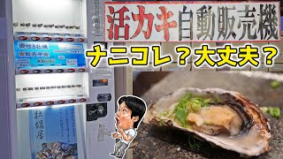 【レア自販機】新鮮な活牡蠣が24時間買えるだと！【くうしば食堂】