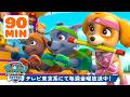 パウ・パトロール | PAW Patrol、ゴールへダッシュ！🏆🏁 Rocky、Skyeほか登場！ | 90分 | テレビ東京系にて放送中