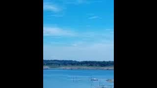 Te Molla _ cover by Rosie