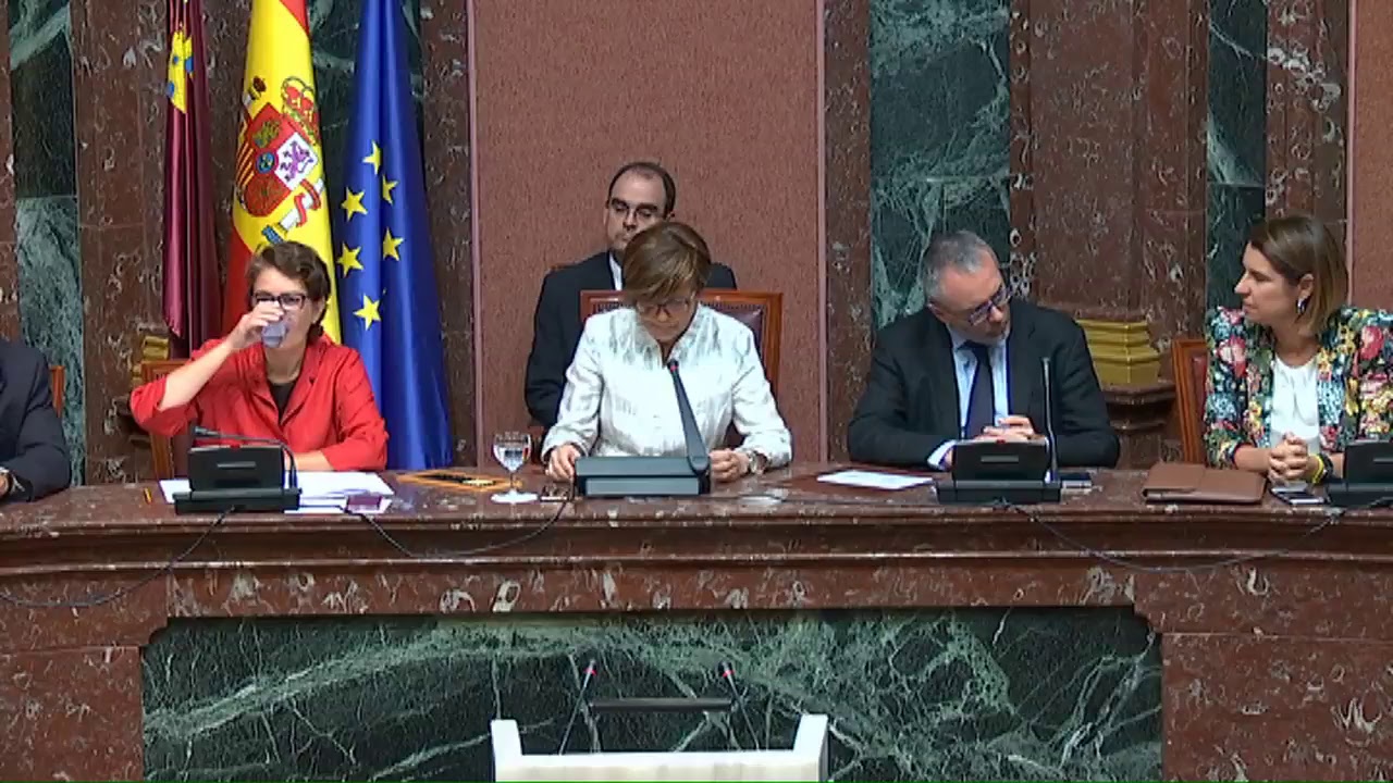 20170629 SESION PLENARIA Nº77 PRIMERA SESION video phone lyrics