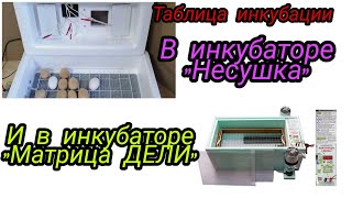 Инкубация в двух разных инкубаторах#таблицаинкубациивматрицадели#таблицаинкубациивнесушке#советы