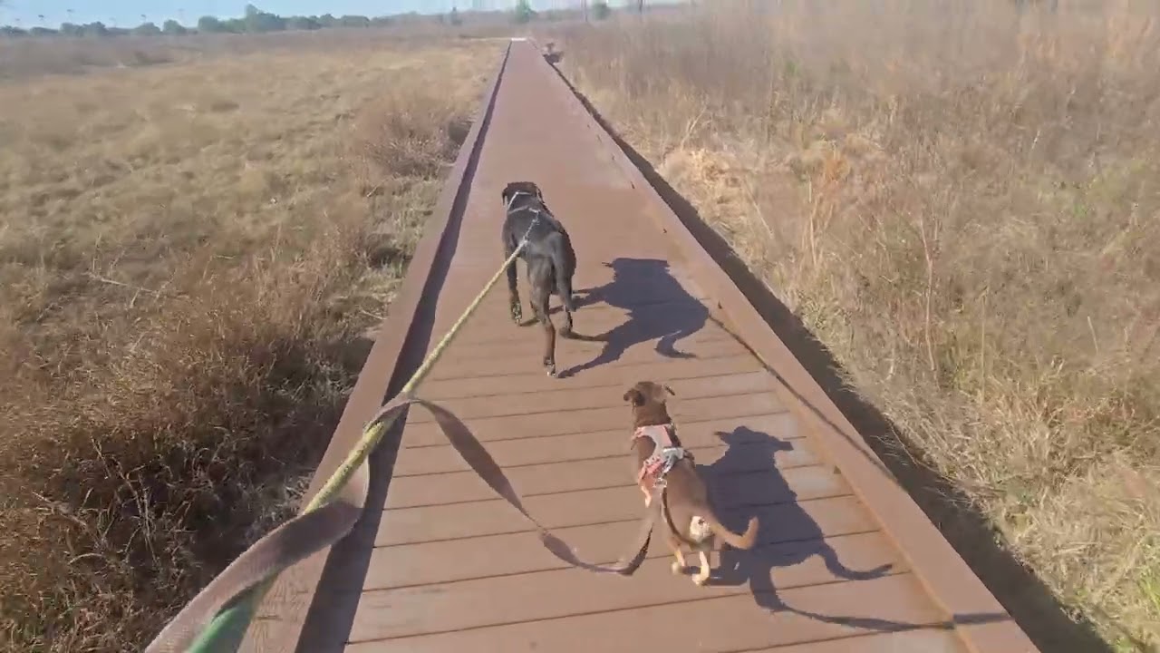 Bridge on the Prairie