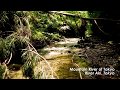 Tokyo fly fishing  country club 2014 montage