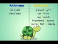 Antonyms and Synonyms - YouTube