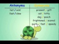 Antonyms and Synonyms