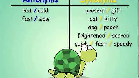 Antonyms and Synonyms