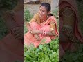 Pagali      bhojpuricomedy comedy funny neha bhojpuri krishna