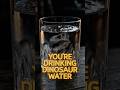 You’re Drinking Dinosaur Water Right Now. #dinosaur #sciencefacts #mindblown #didyouknow #watercycle