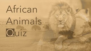 African Animals Quiz (Part 1)