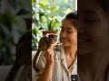 hybrid monkey as pet #animals #monkey #wildlife #japan #punch #babymonkey #shortsfeed