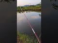 #katakita #softfrog pilihan #angler cerdas, karena kualitas yang #mantap untuk #mancing