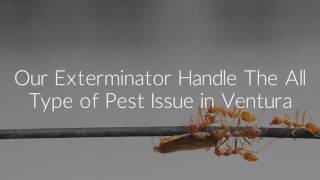 O'Connor Pest exterminator in Ventura, CA