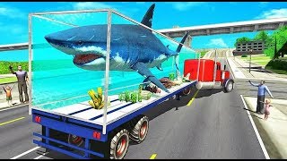 Sea Animal Transport Truck Driving | Amazing Animal Transport Android GamePlay | By Game Crazy screenshot 4