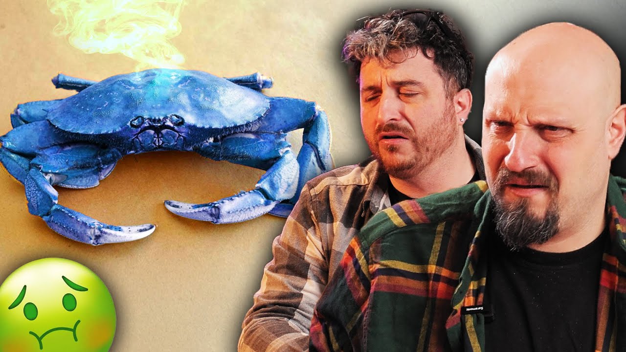 Un PACCO SHIFOSO 🤢