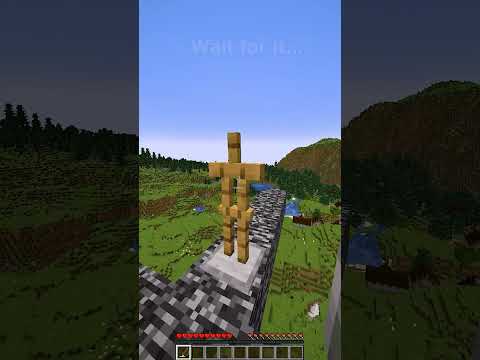 Minecraft I Got