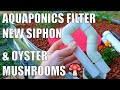 Aquaponics Filters, NEW "U" Siphon & Oyster Mushrooms 🍄