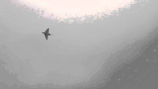 20101211--新竹空軍基地