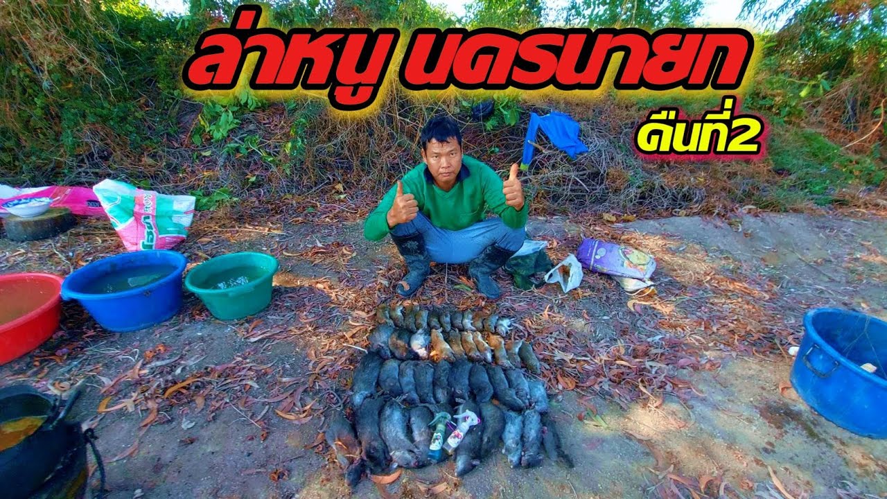 หาอยู่หากินแบบบ้านๆ ดักหนูใส่เบ็ดปลาไหล นอนป่ากินข้าวป่า มันกะสุดยอดแล้วพี่น้องเอ้ย
