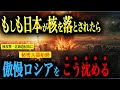 【核戦争勃発】もしもロシアが首都圏を核攻撃・北海道侵攻したら…自衛隊は露軍をどう逆襲するのか?【AIシミュレーション】