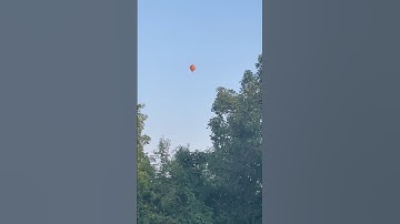 Drie heteluchtballonnen zweven voorbij terwijl we aan het tuinieren zijn #heteluchtballon