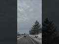 Some deer crossing the road on Skyline Parkway in Duluth #shorts