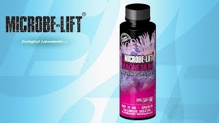 Microbe-Lift Magnesium