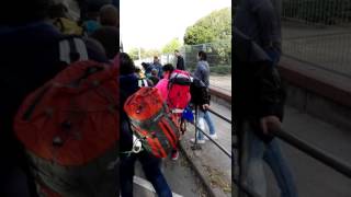 Primeras colonias de Gisela, 02.05.2017