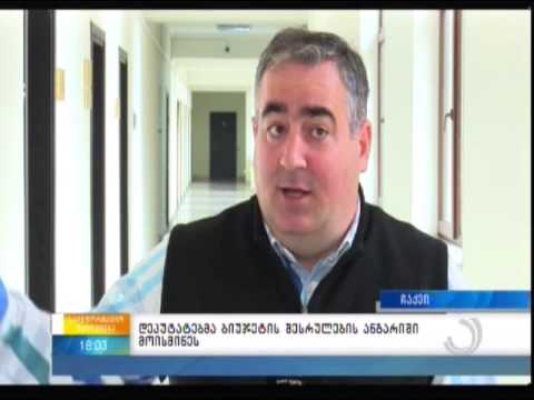 დეპუტატებმა ბიუჯეტის შესრულების ანგარიში მოისმინეს