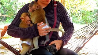 OMG...Tiny Aba &amp; Lori Afraid Baby Dog so Much Jumping to Mama Help, Very Scared